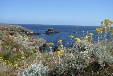 Equinox2 et sa plume de coeur